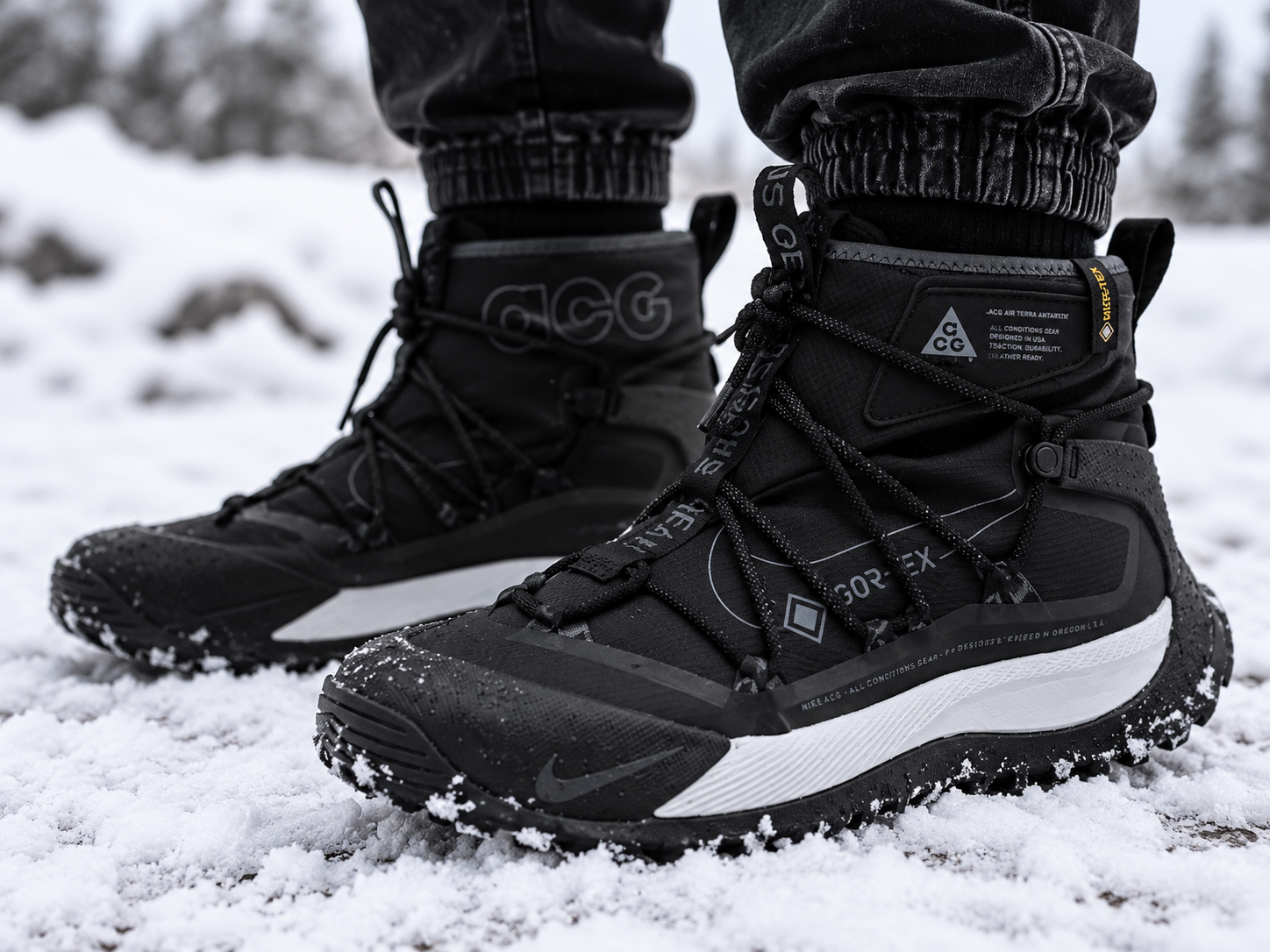 Nike ACG Air Terra Antarktik — на ноге